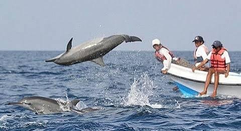 Mumbai To Dapoli Trip — Maharashtra tour package