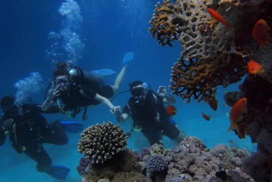 Mumbai To Tarkarli Malvan Trip — Maharashtra tour package