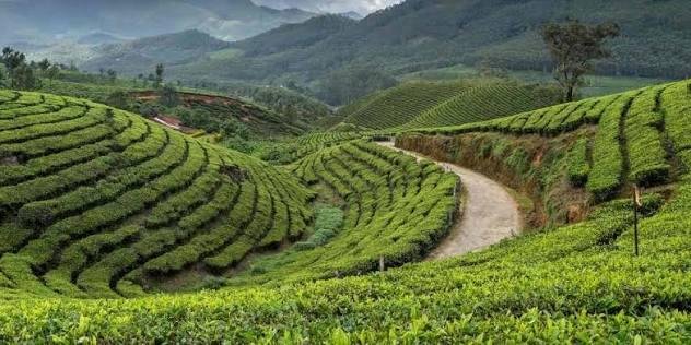 Mumbai To kerala Trip — Maharashtra tour package